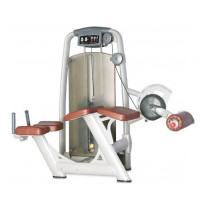 Сгибание ног лежа BRONZE GYM A9-013A
