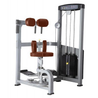 Торс-машина BRONZE GYM D-011